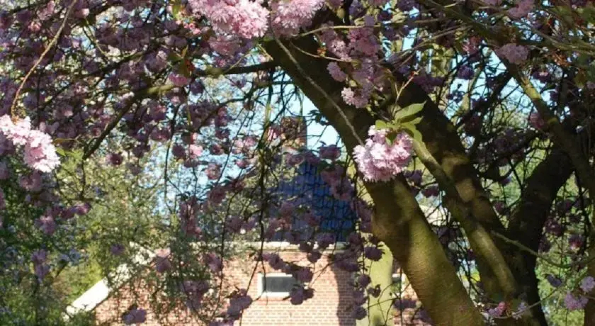 Bed and Breakfast De Baron