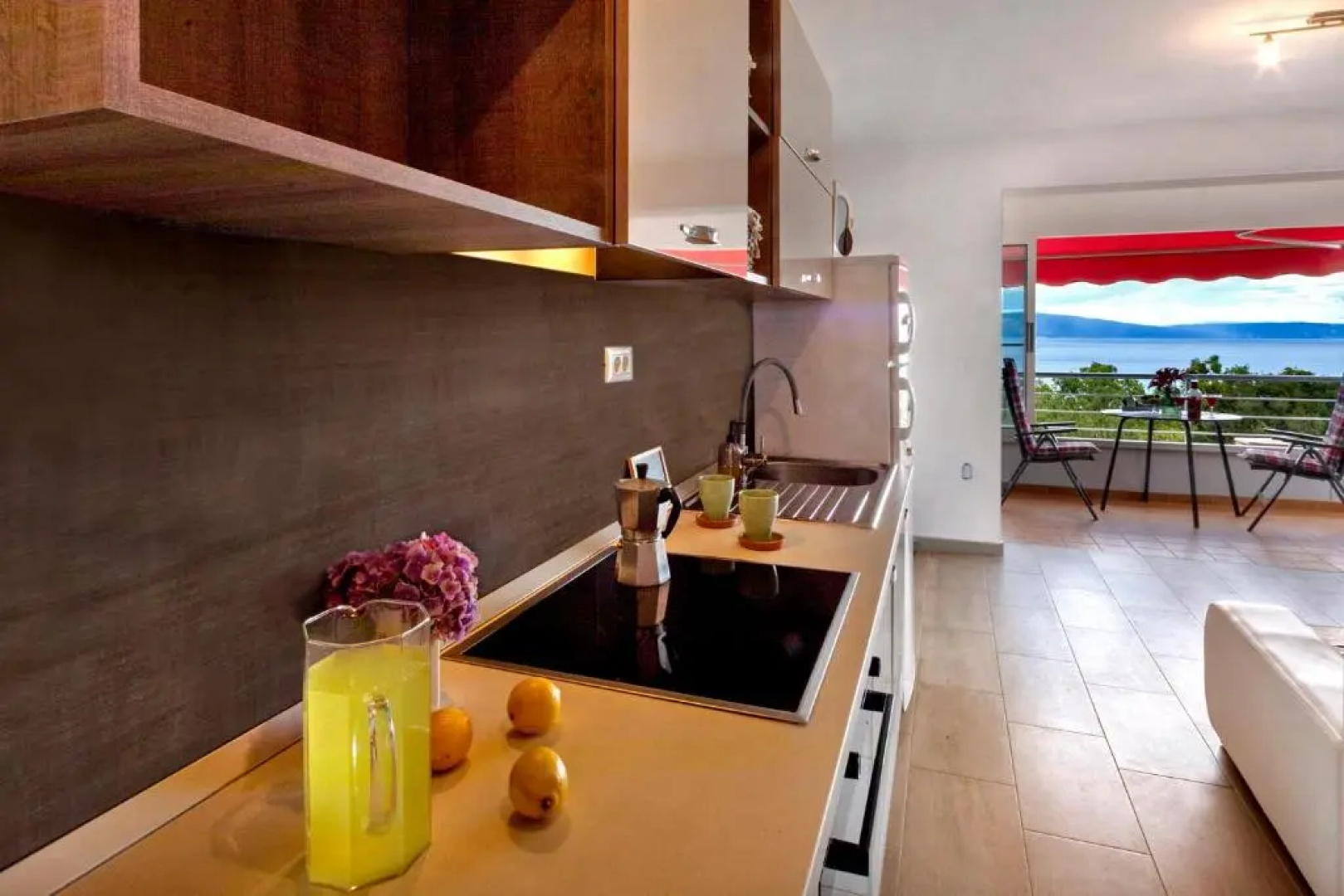 Apartment Branko