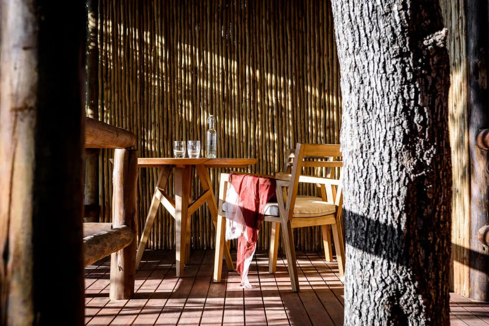 Sanctuary Chief's Camp