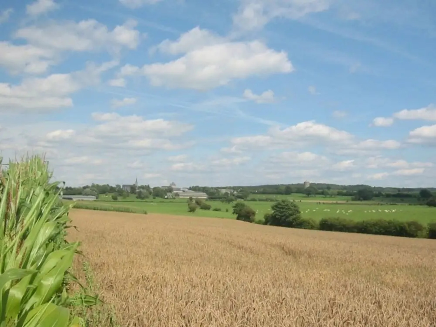 Tidy Holiday Home With Wood Burner in a Green Area