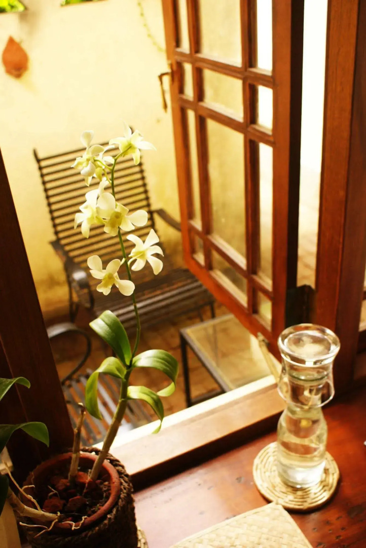 Havelock Place Bungalow