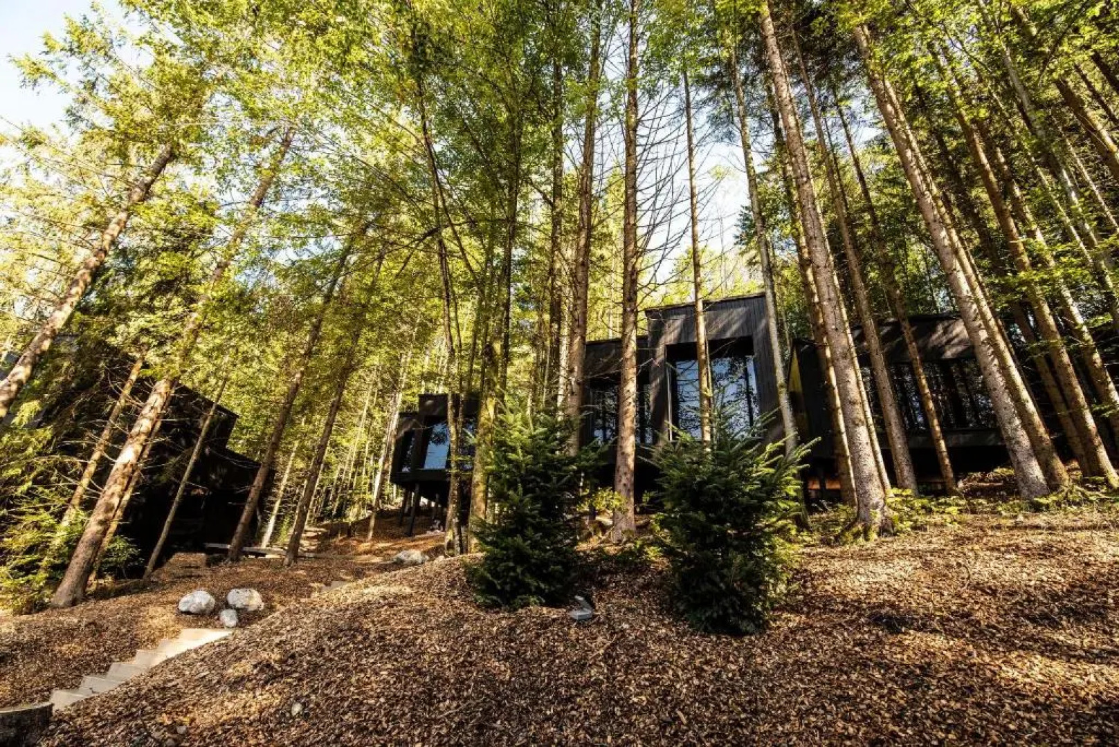 Hotel Landgasthof Fischerwirt