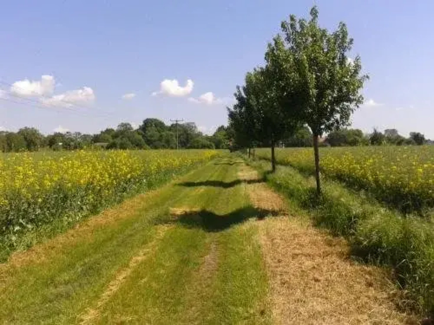 Landpension Oderbruch