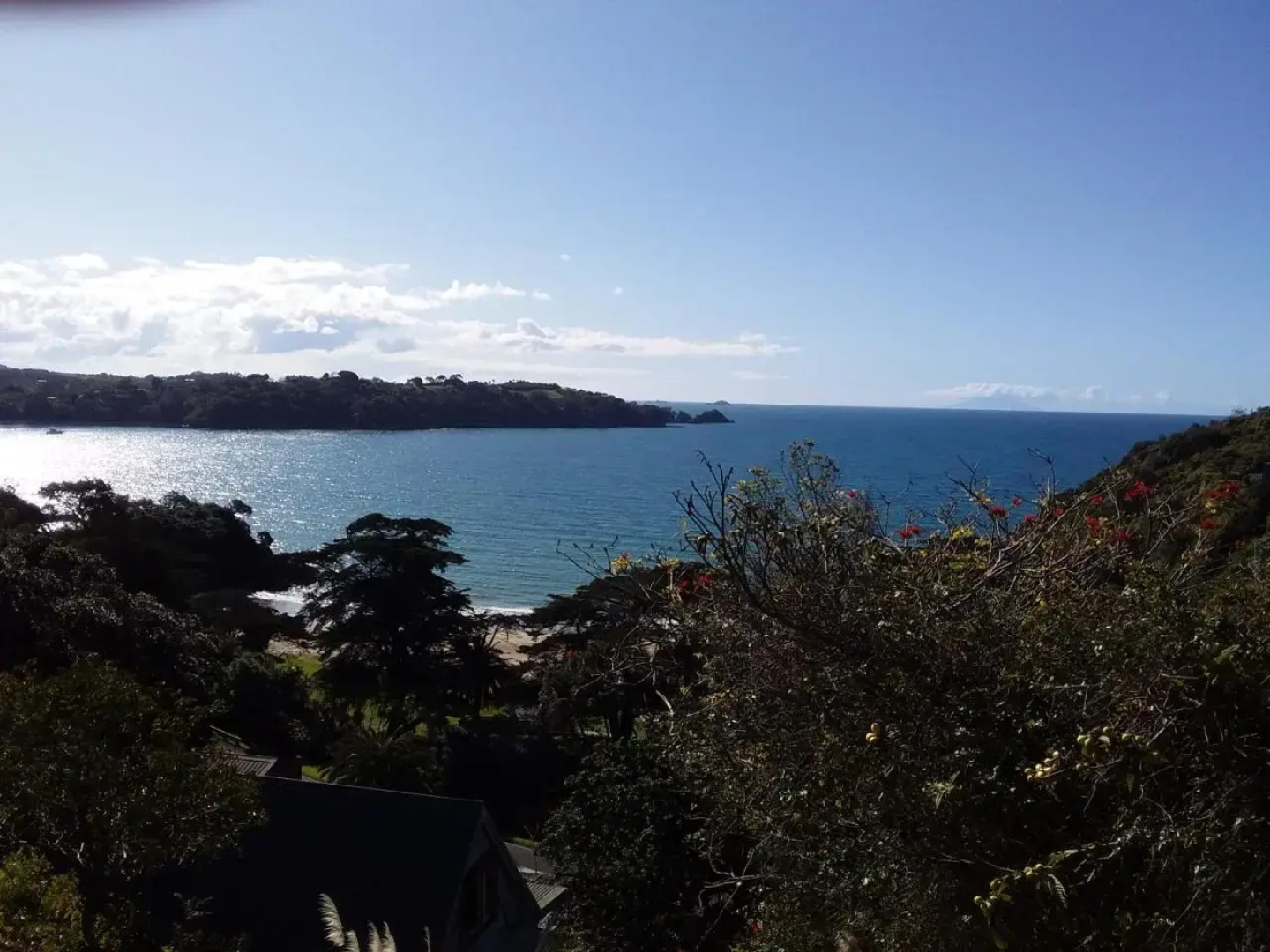 Four Huia (Adults Only)
