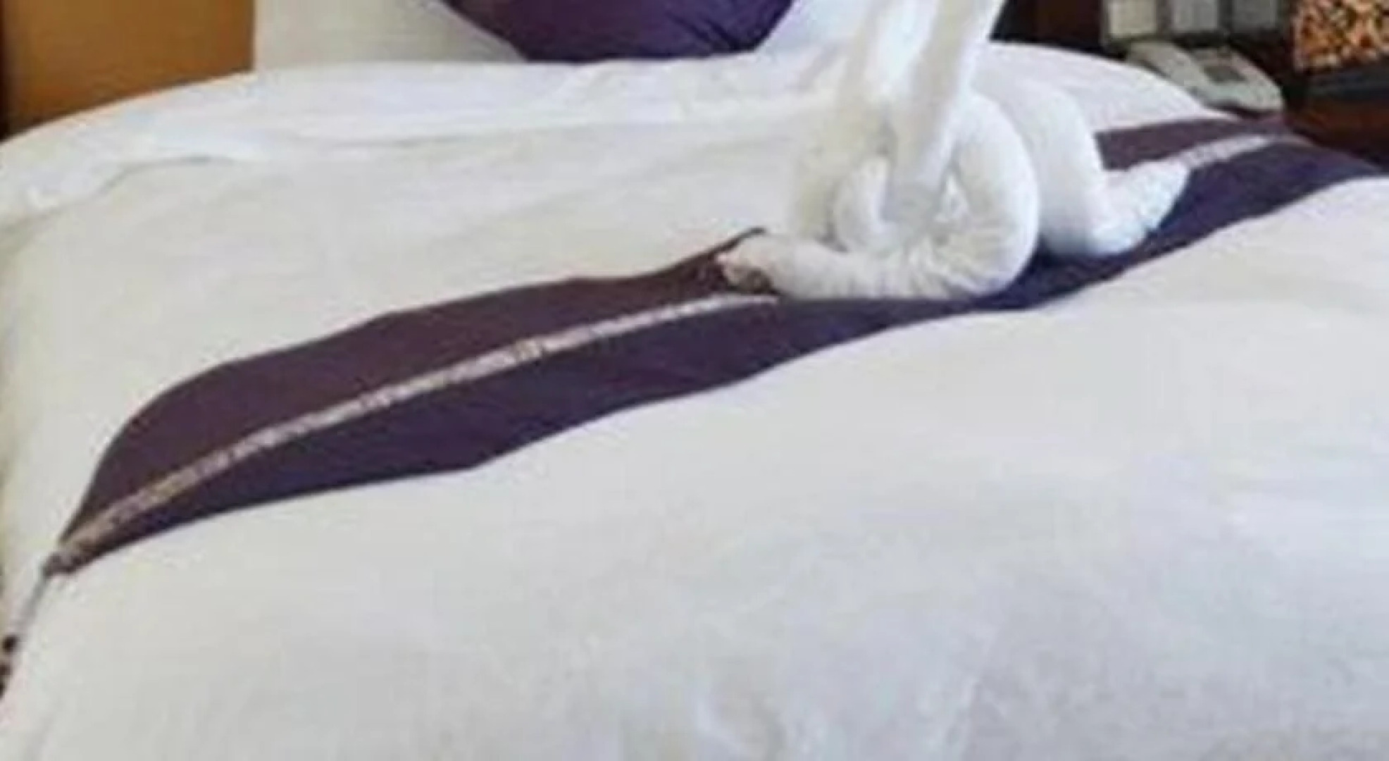 Boutique Garden Hotel