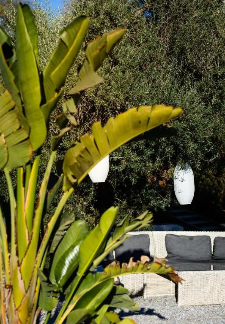 Campo Agave Luxury Tents