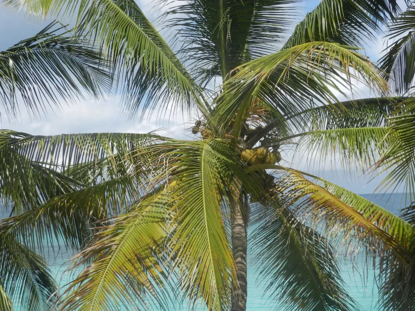 Paradise Beach Bungalows Nungwi