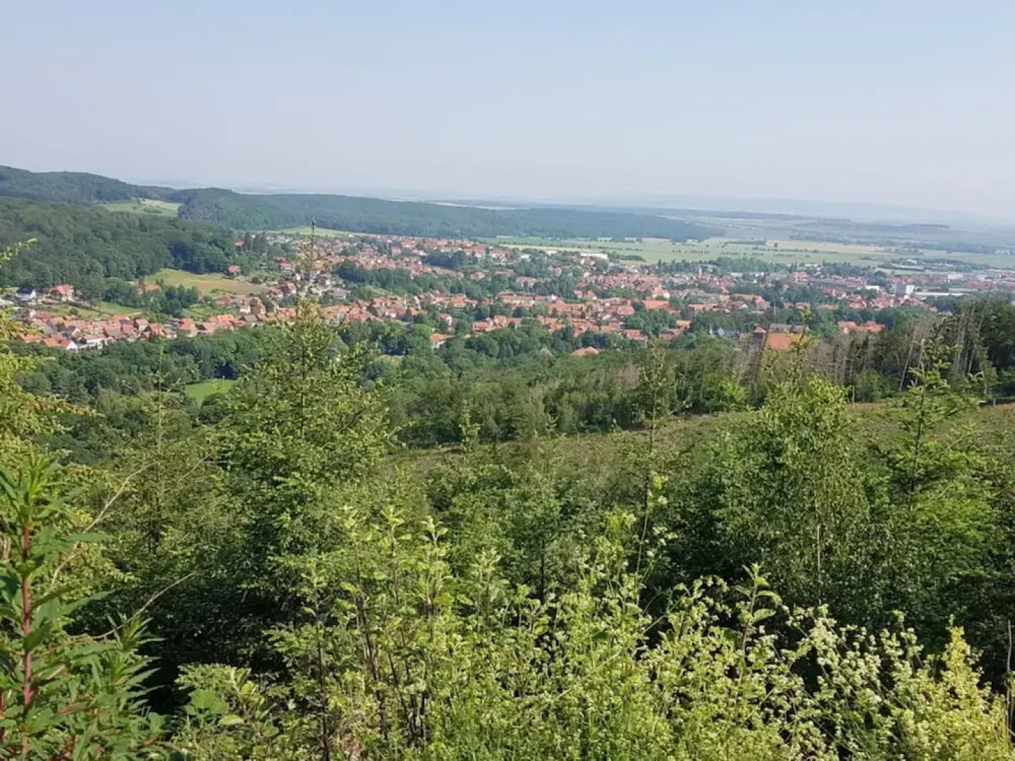 Holiday Home in the Large Garden
