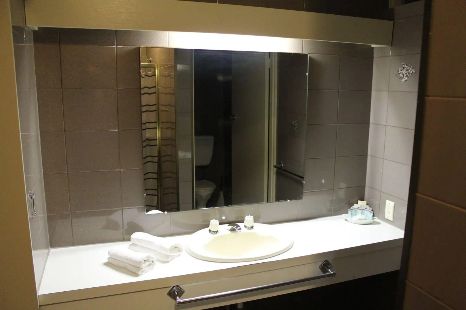 Sandpipers at Millicent