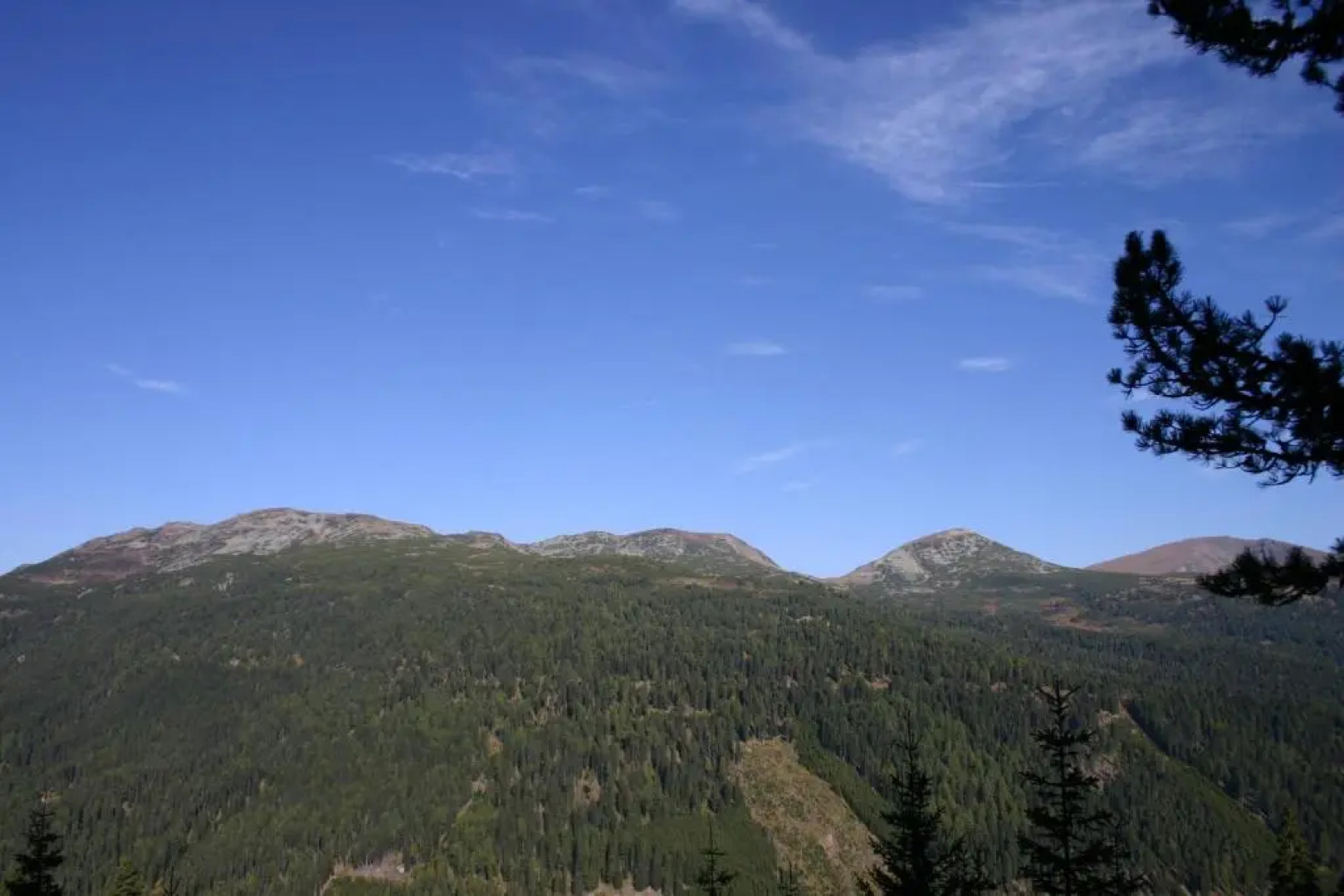 Ski- & Wanderhotel Berghof