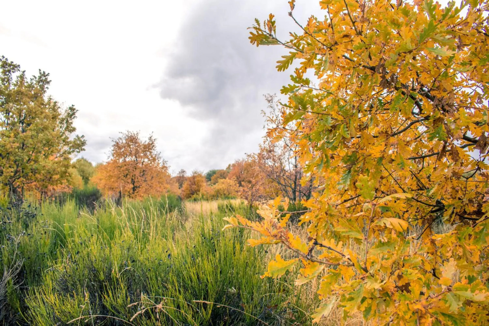 Gran Hotel Pandorado