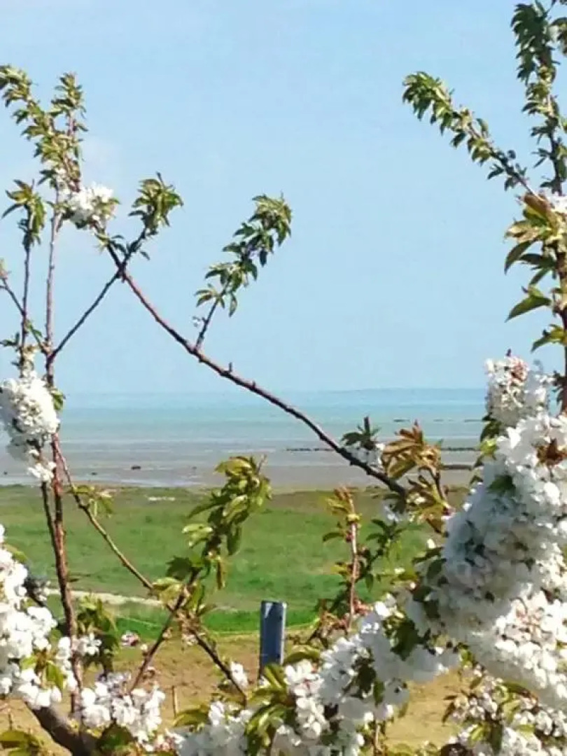 Maison de 3 chambres avec wifi a Le Vivier sur Mer