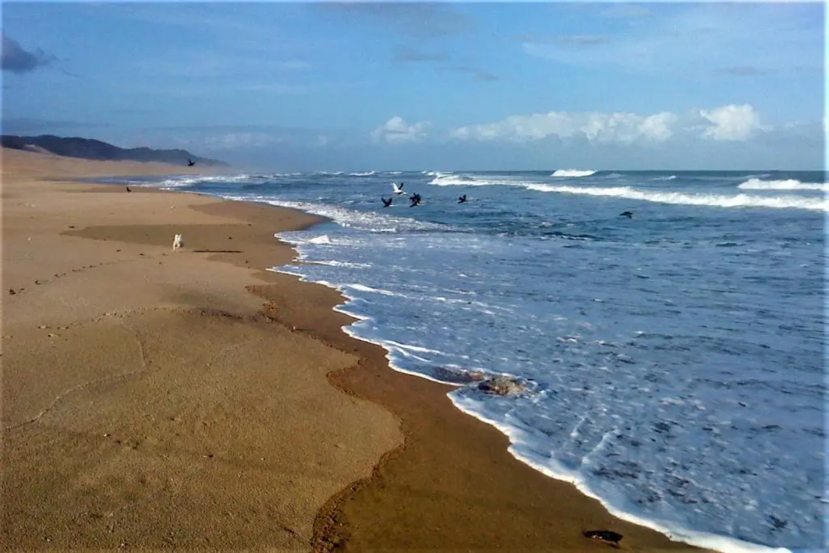 Panorama Guest House