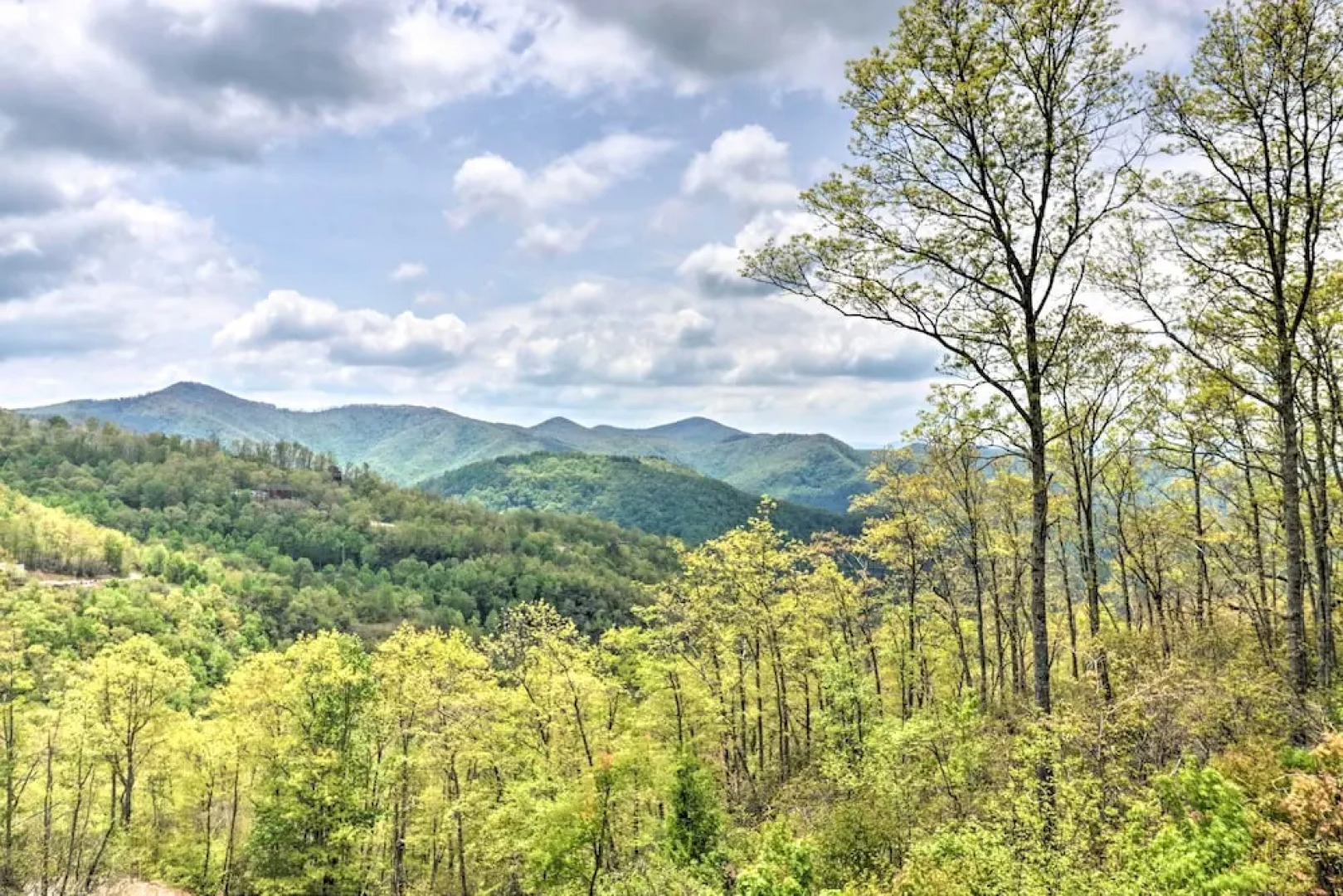 Elevated Cabin Bordering Smoky Mountain Nat'l Park