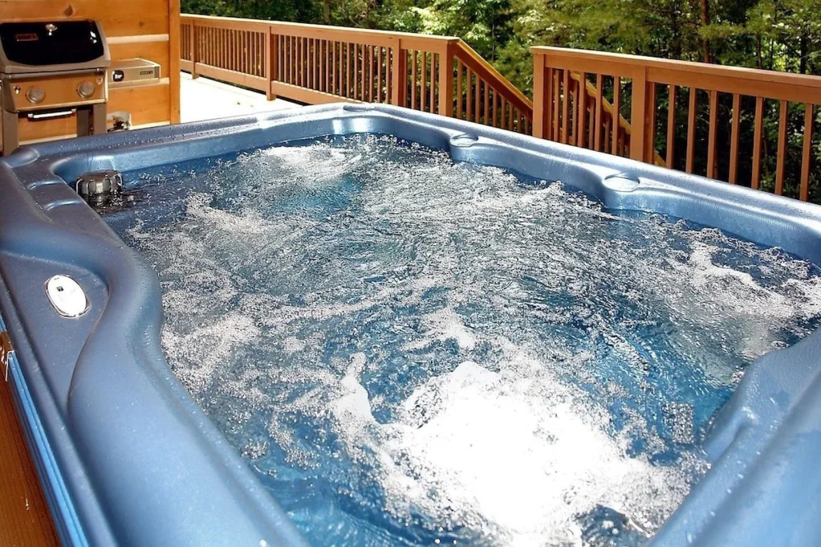 Mountain Laurel - 1 Bedrooms, 1 Baths, Sleeps 4 Cabin by RedAwning