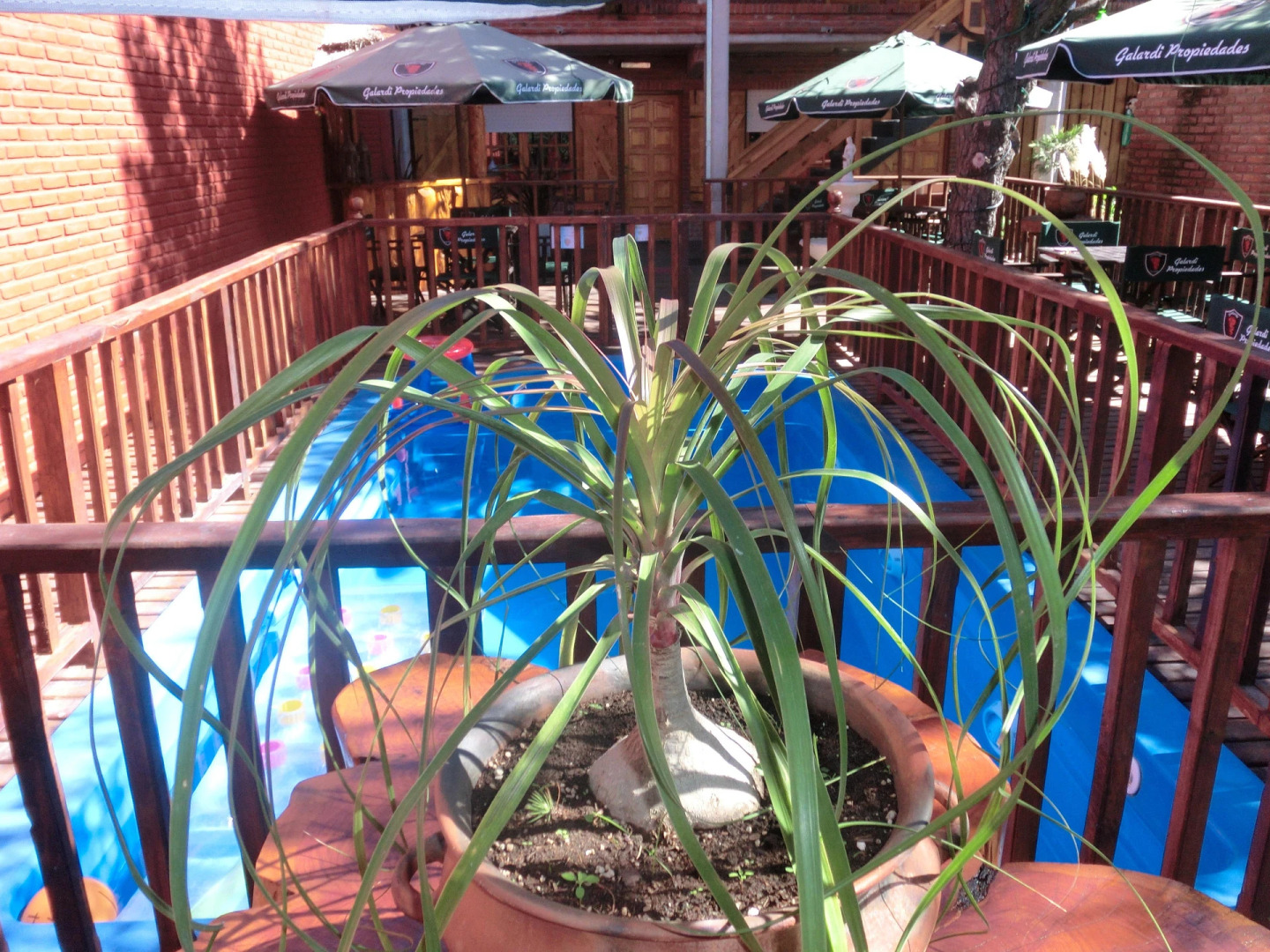 Complejo Le Tre Rondini