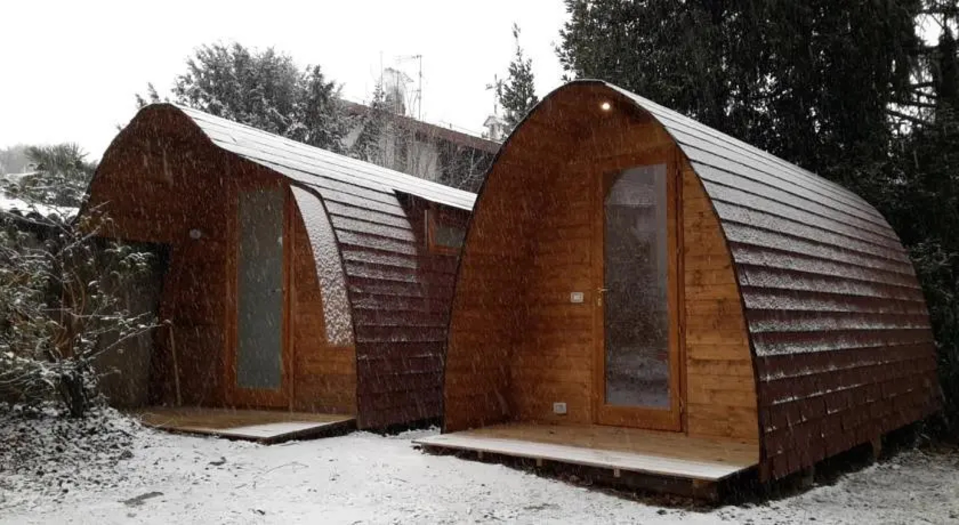 Nel Guscio sotto il Faggio