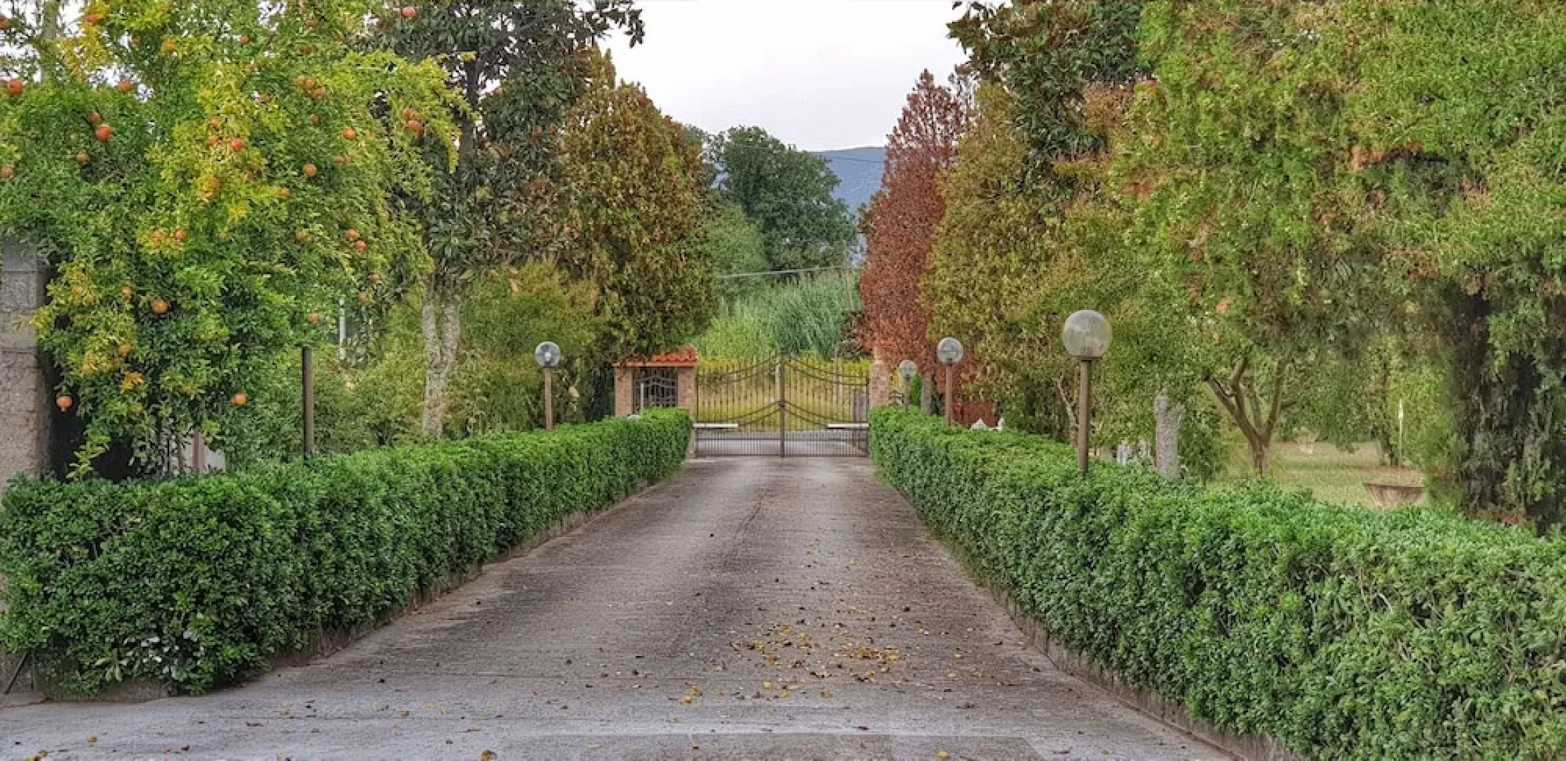 B&B Ricci by holidayngo