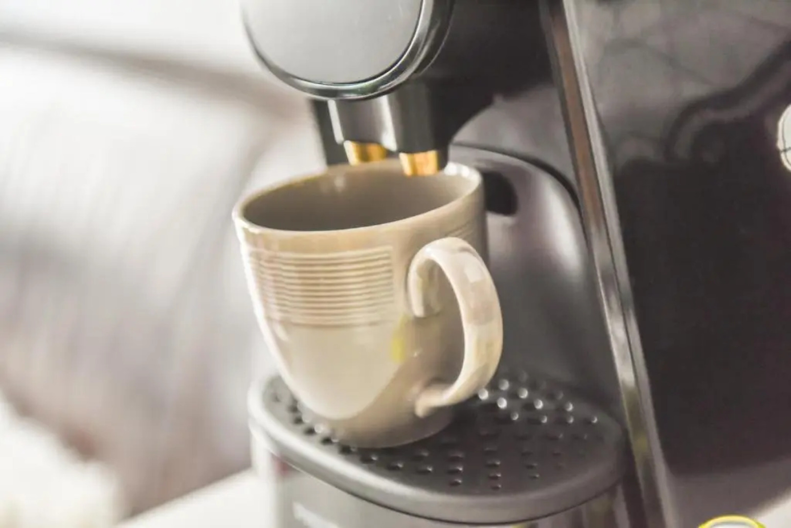 FREE PUBLIC PARKING - WIFI - Le Wild Forest