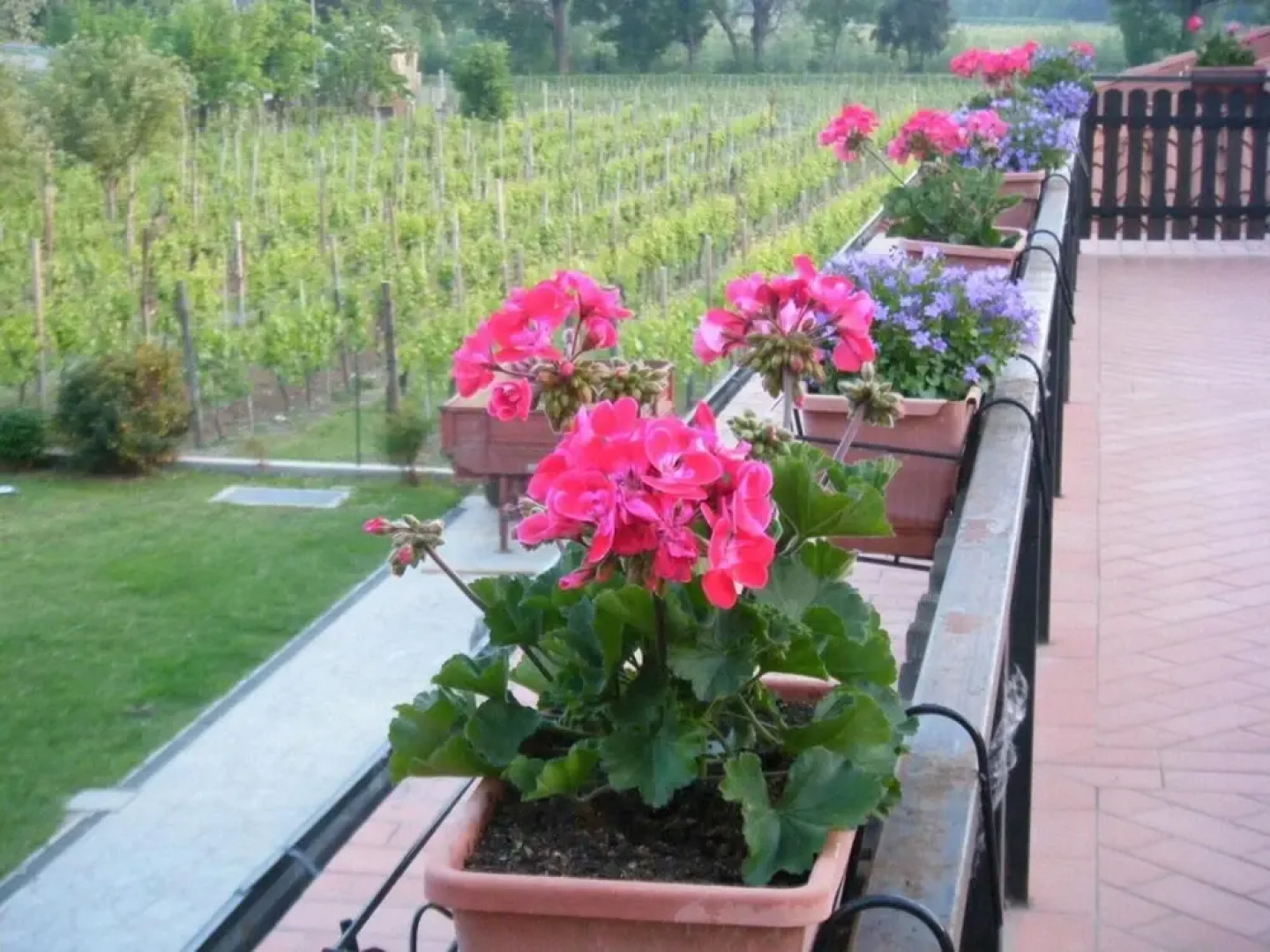 Agriturismo Grillo Iole