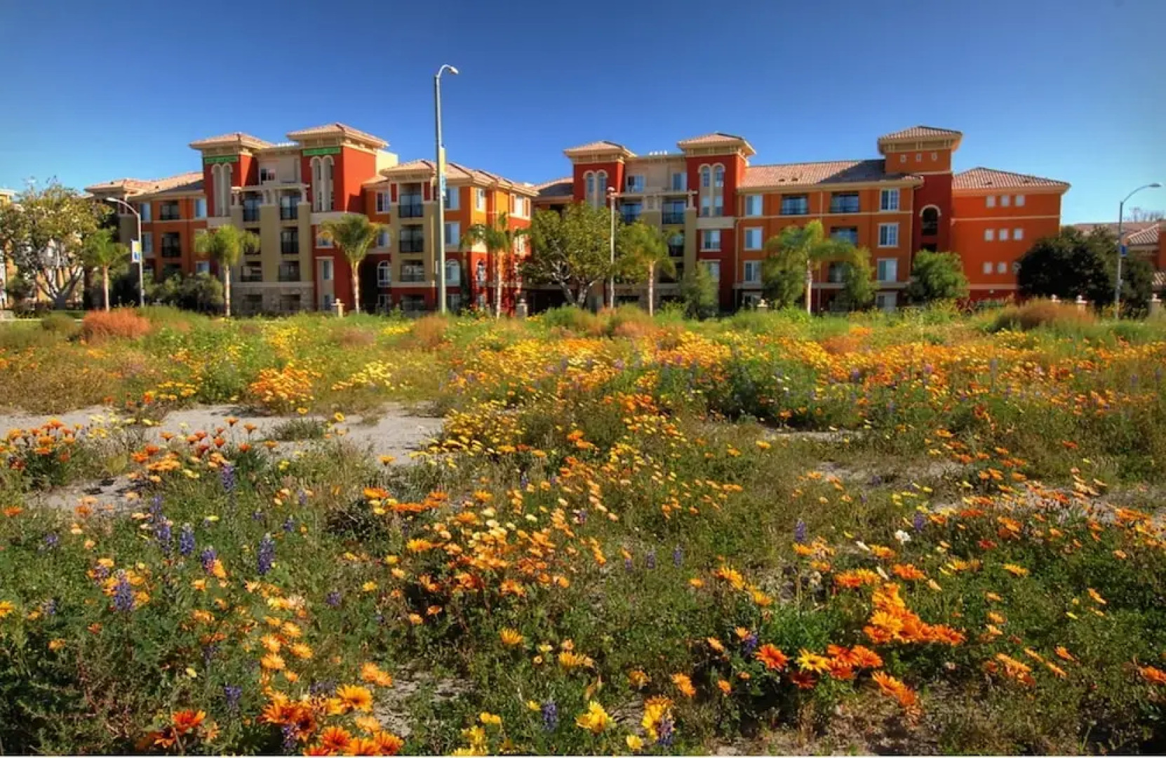 Platinum Triangle Apartments