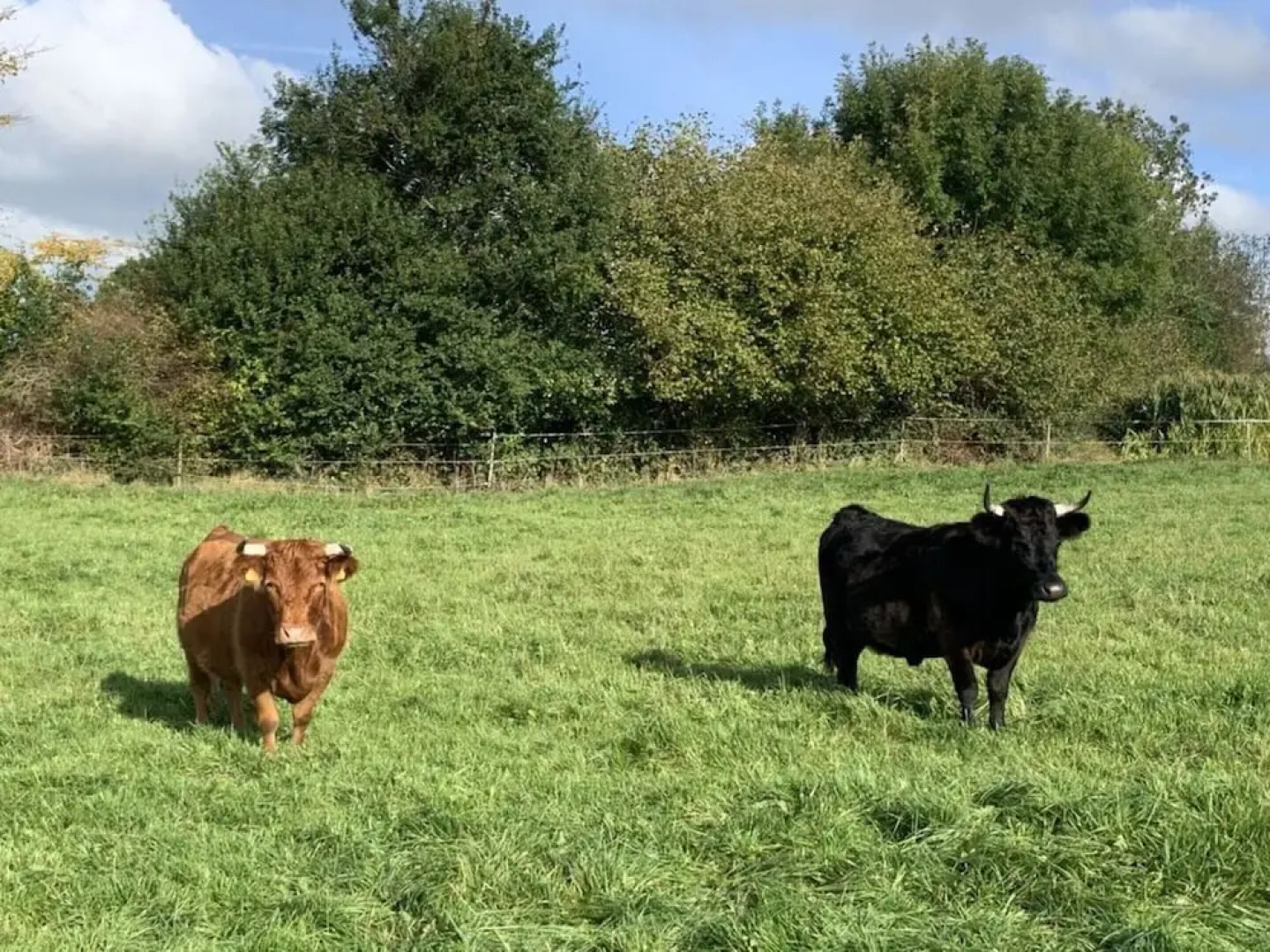 Country House Landlust