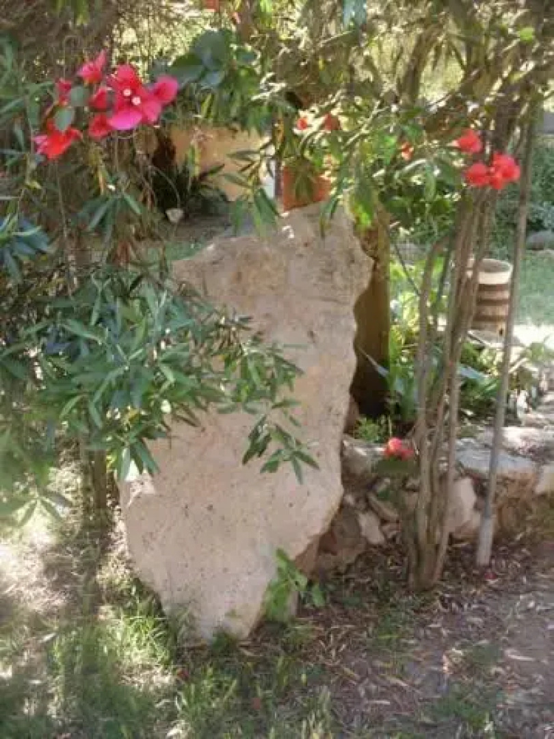 Agriturismo Bachile Bertula