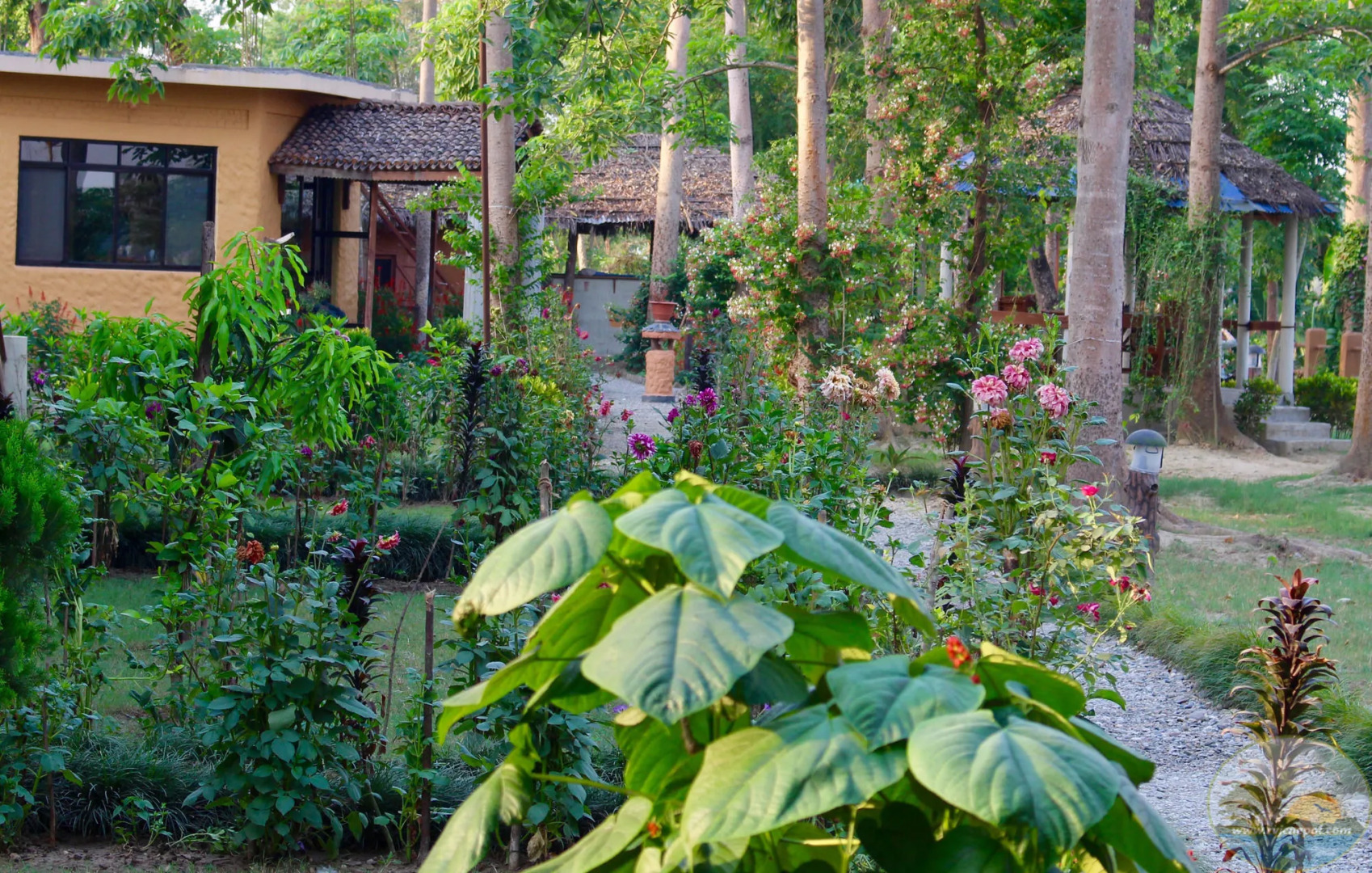 River View Jungle Camp