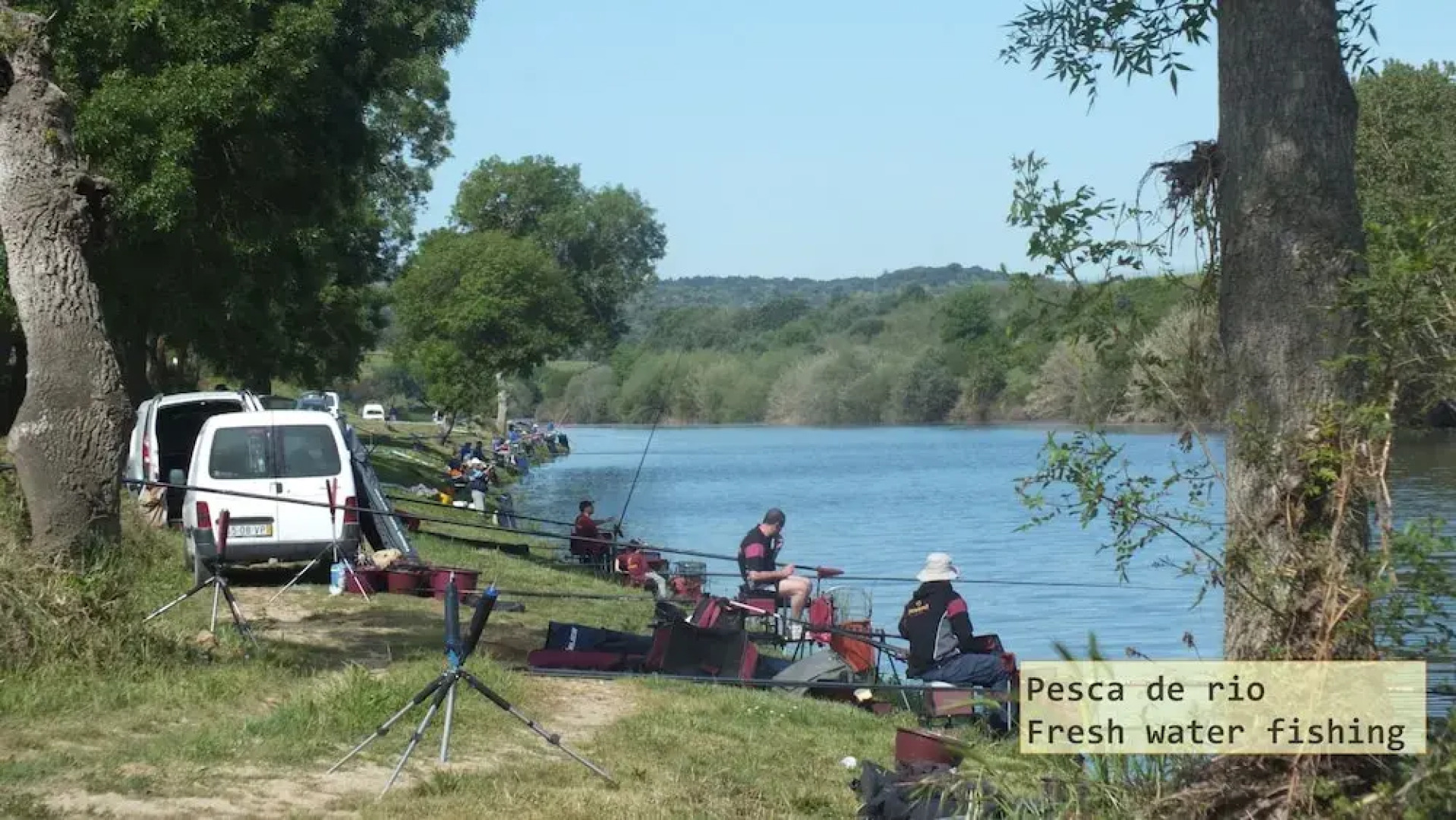 Hotel Solar Dos Lilases
