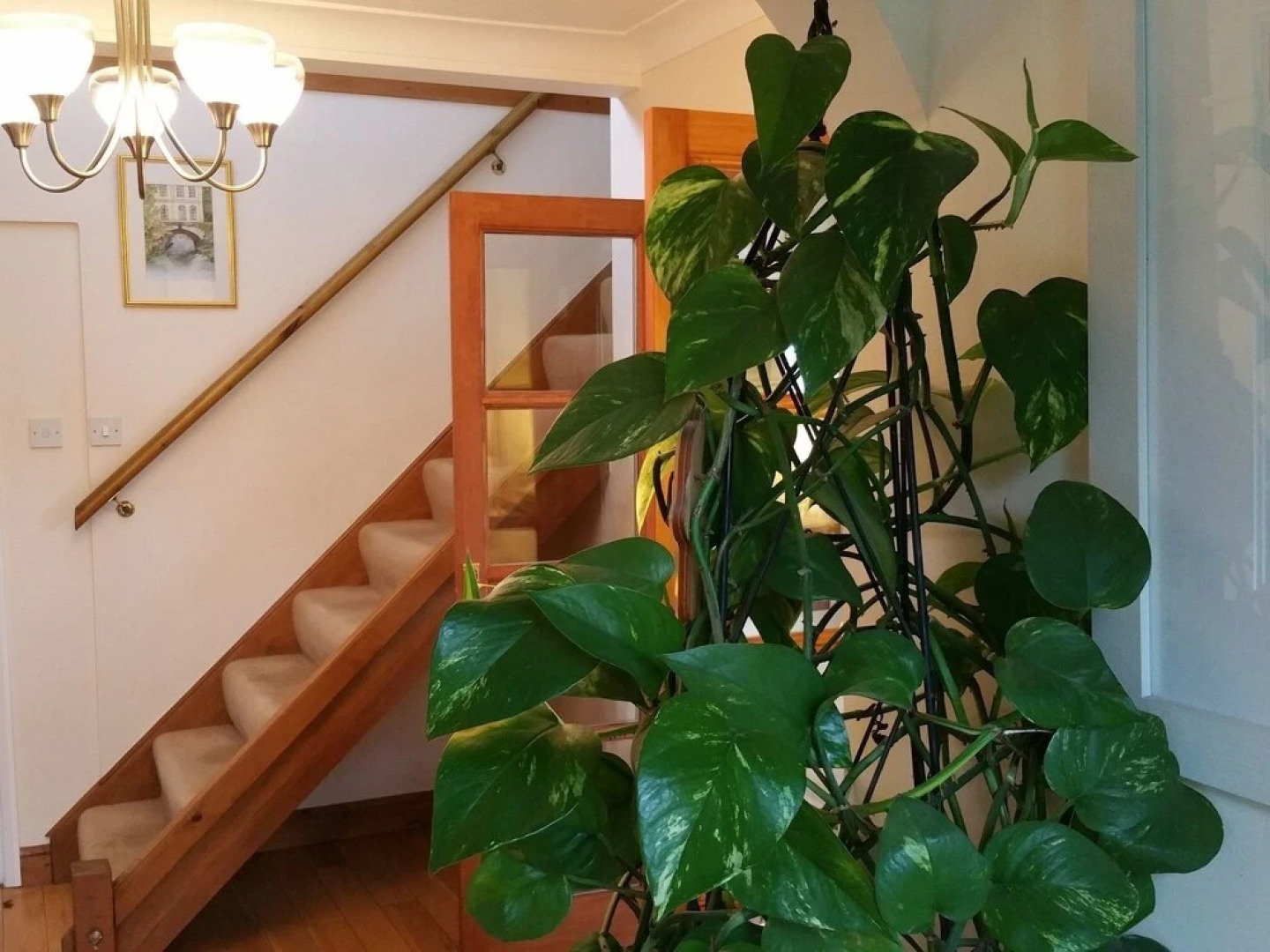 Drinkstone Park Bed And Breakfast