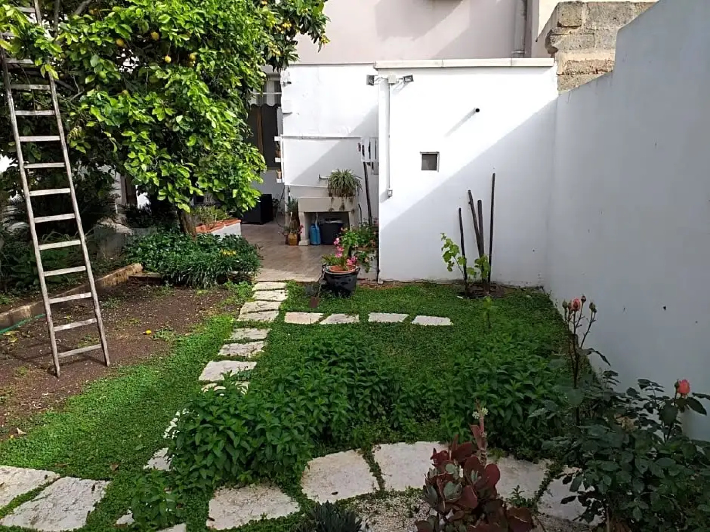 Citrus Garden