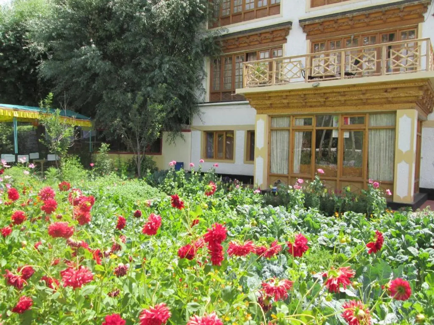 New Moon Guest House