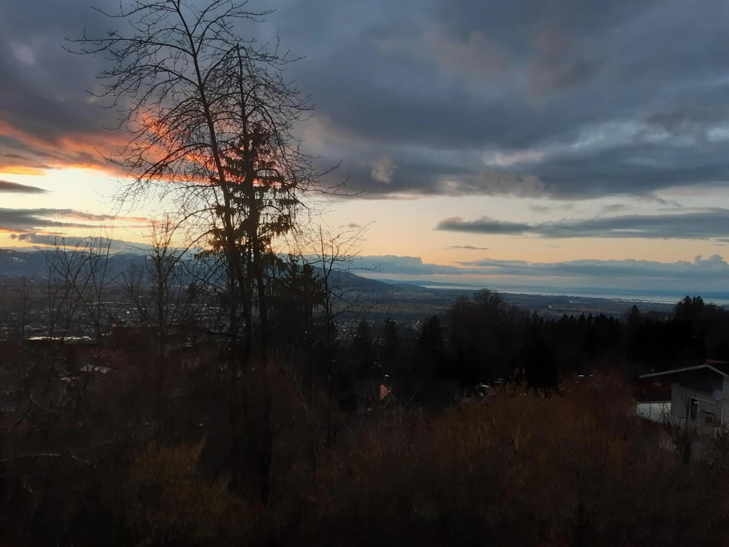Ferienwohnung Bodenseeblick