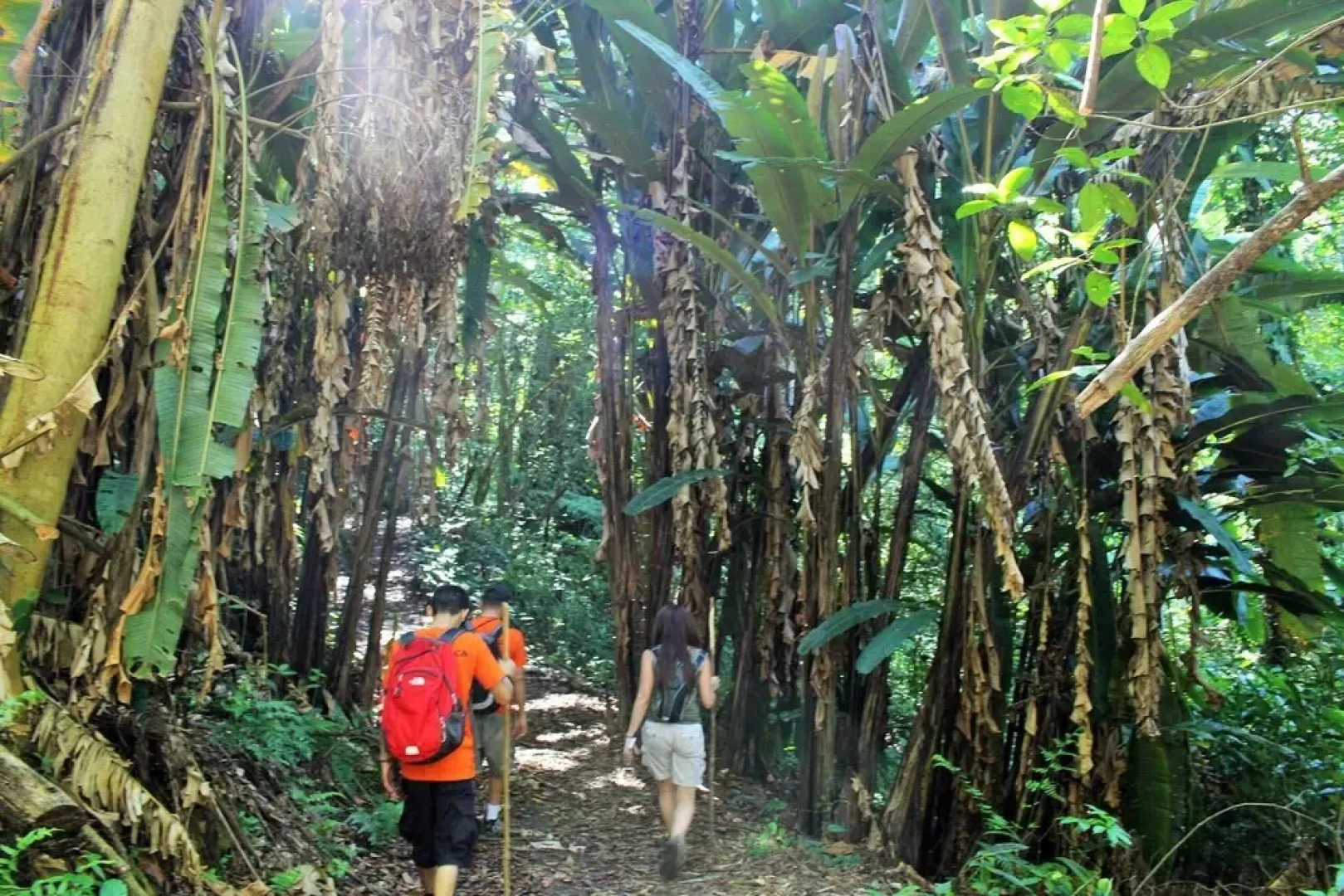 Talamanca Nature Reserve