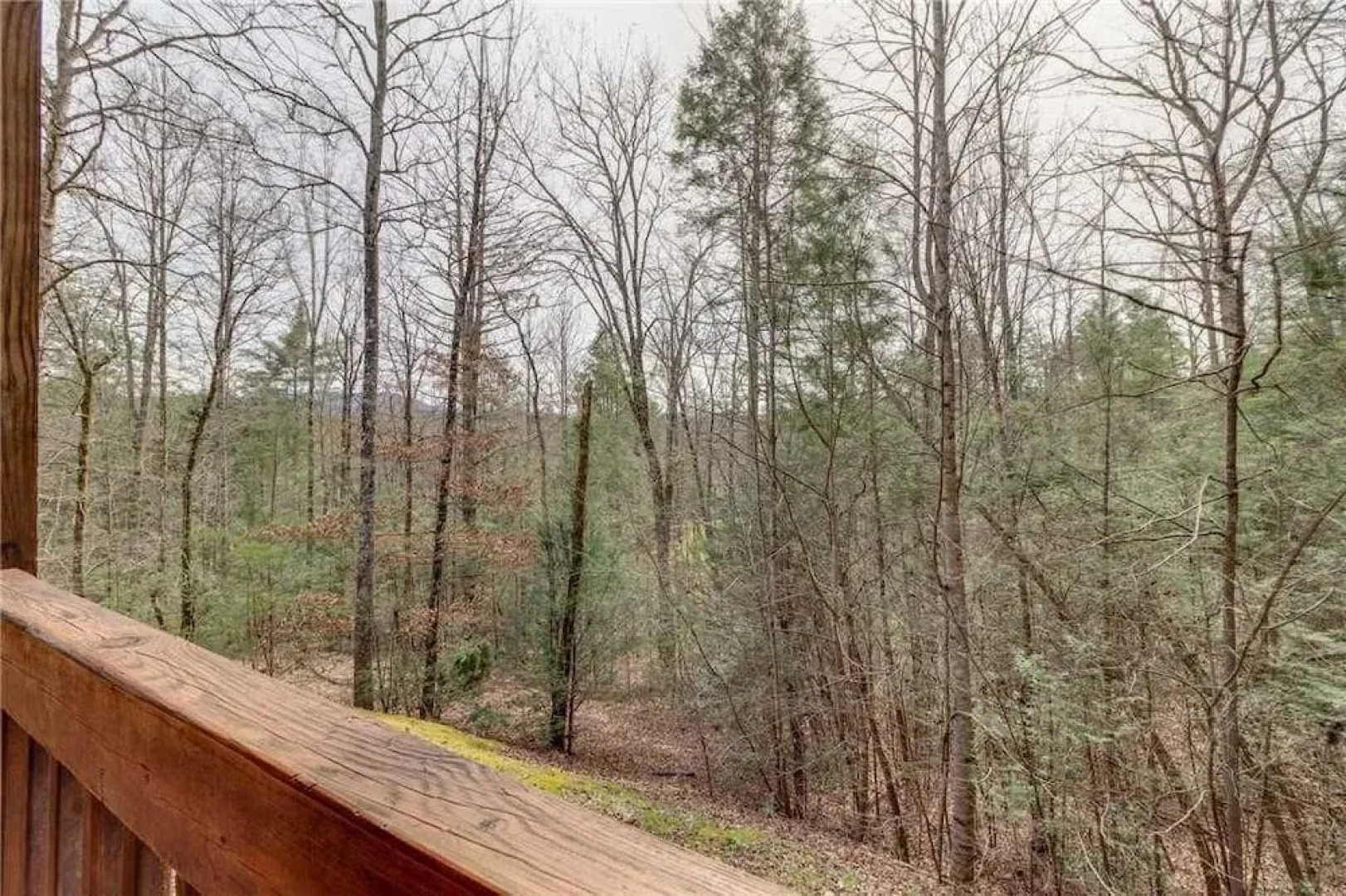 Majestic Hideaway by RedAwning