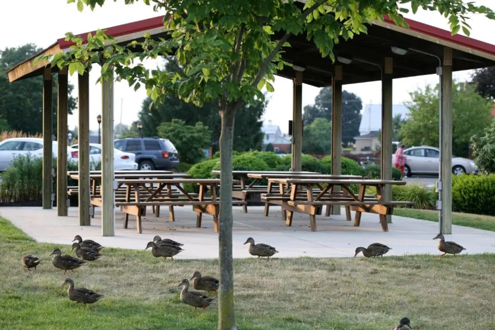 Bird in Hand Family Inn