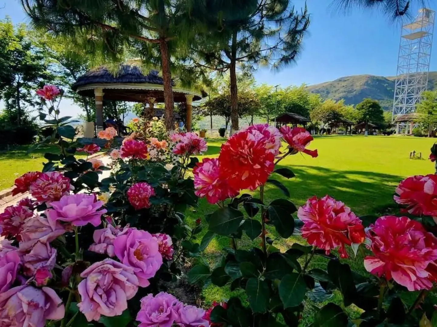 Orange Lake Resort Khanpur Pakistan