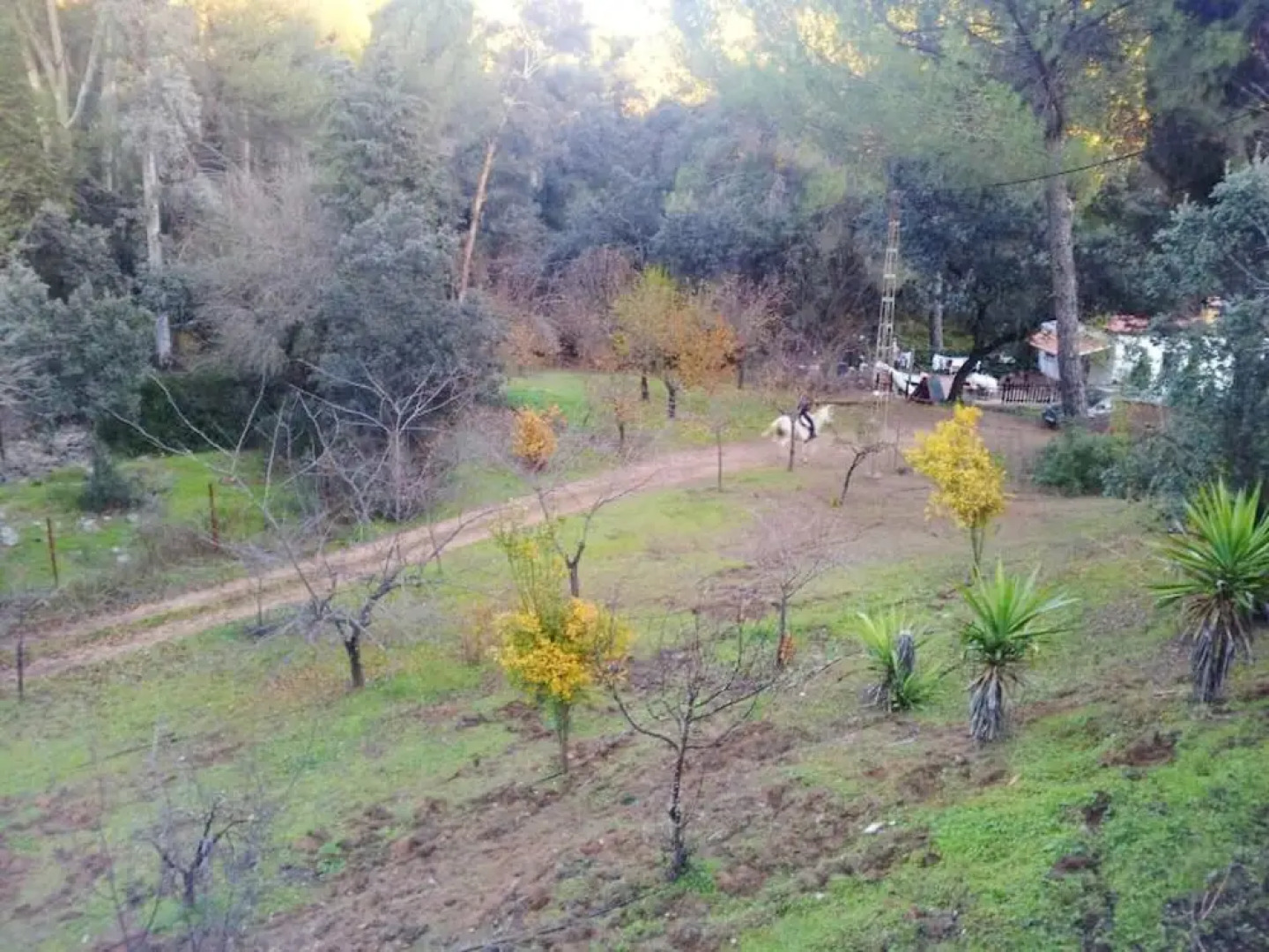 House With 3 Bedrooms in Las Solanas del Pilar, Córdoba, With Wonderfu