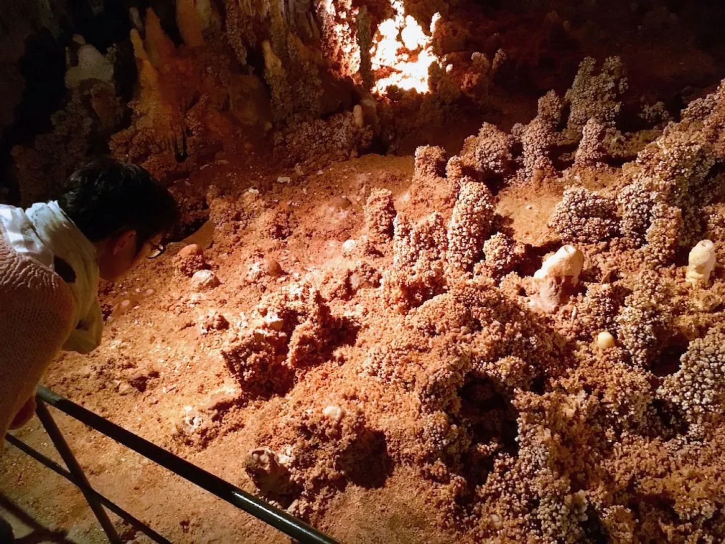 Aven Grotte Forestière