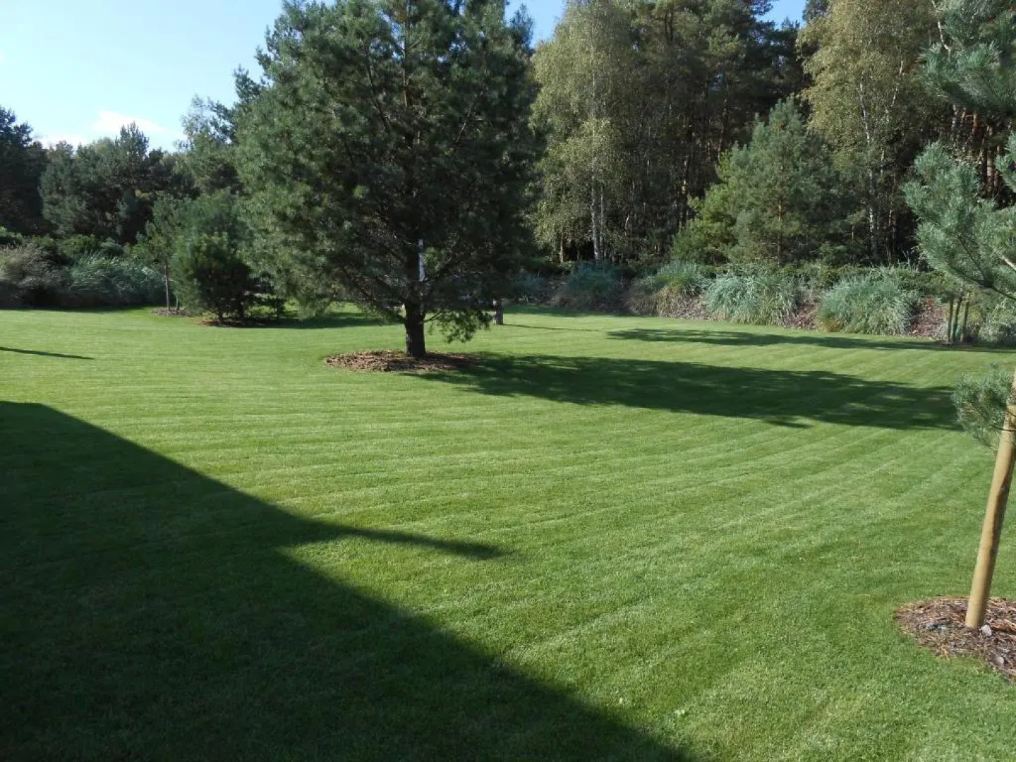 5 Sterne Luxusdomizil im Dünenland