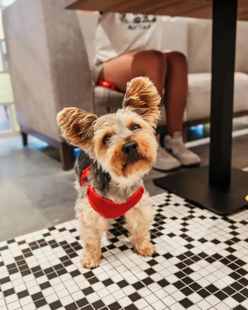 Arche Nałęczów Dawne Sanatorium