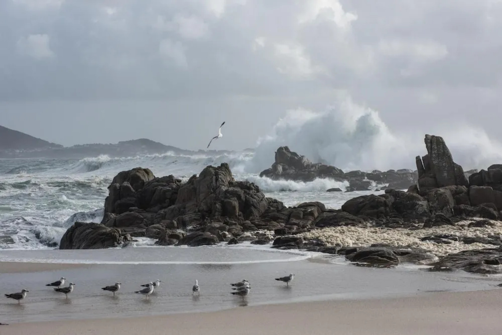 Hospedium Morada da Moa