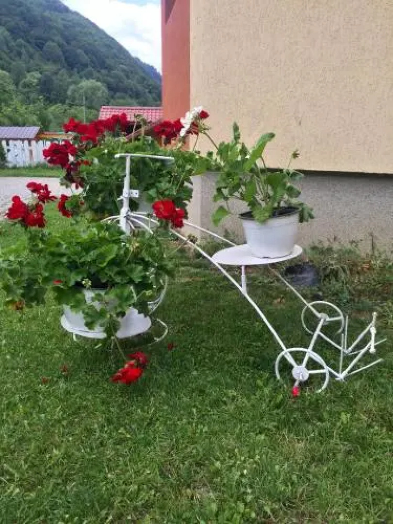 Pensiunea Silva Dobra