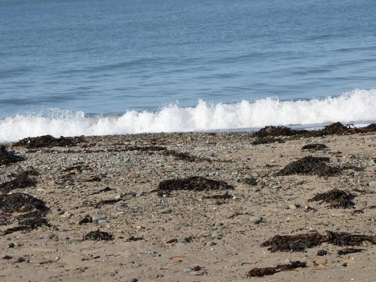 1St Floor Flat At Wylfa, Rhosneigr