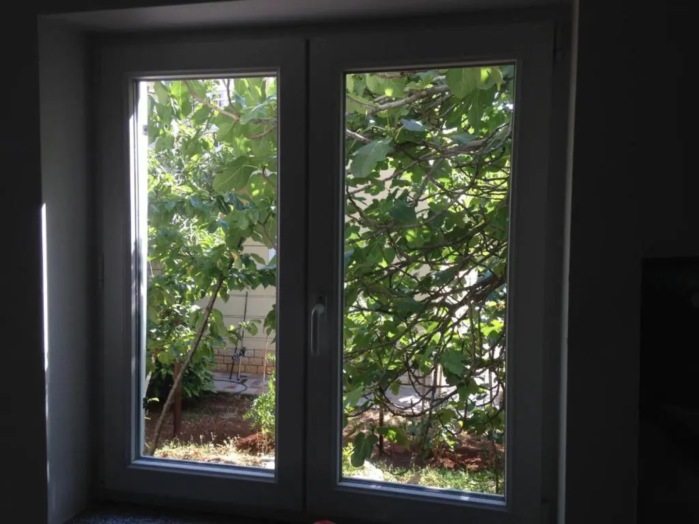 Apartment and Studio Jelušić