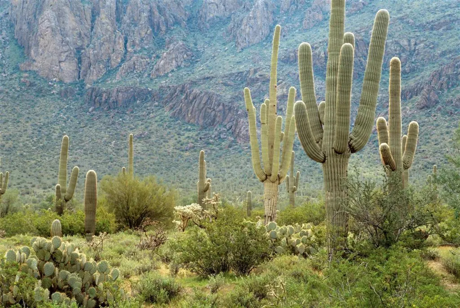 Sheraton Crescent Hotel