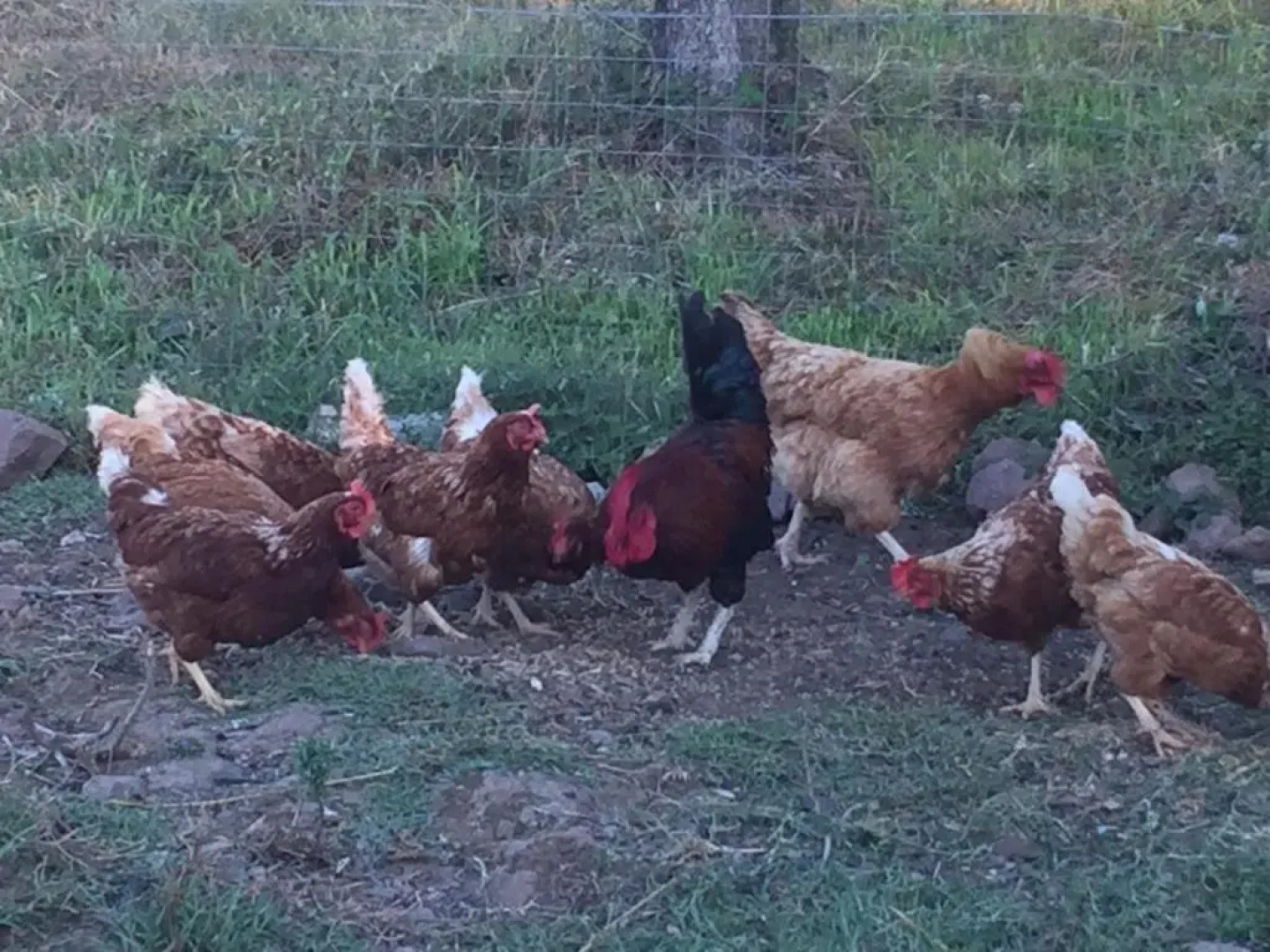 Agriturismo Su Meurreddu