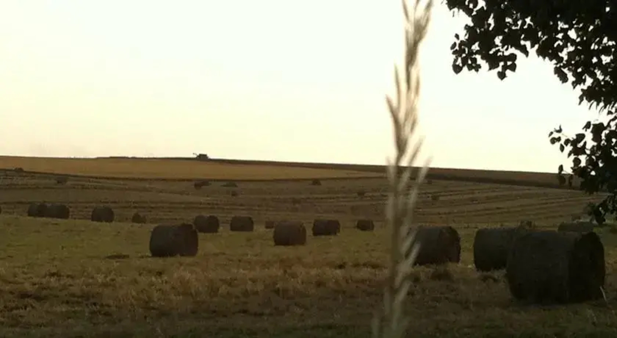 Le Cottage de Pontaly
