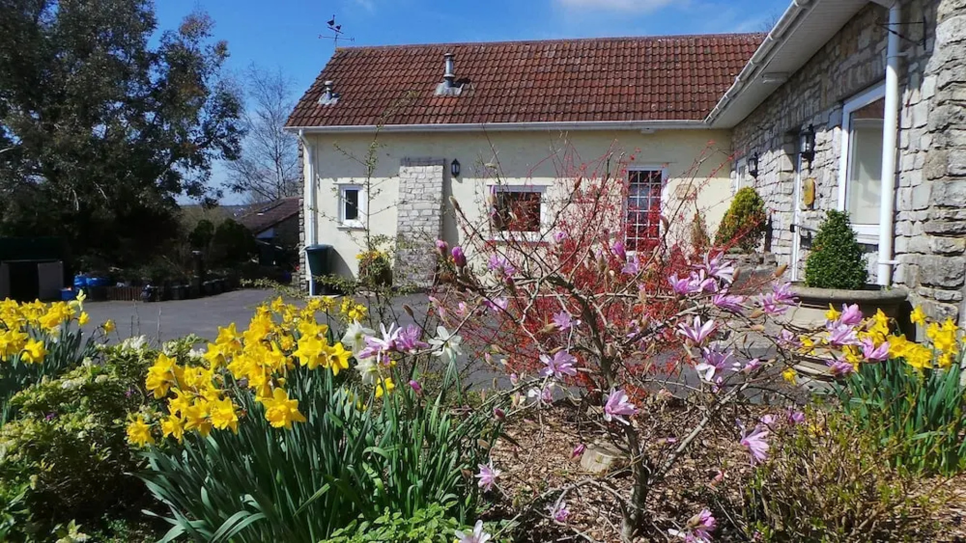 School Cottages BB  Self-Catering