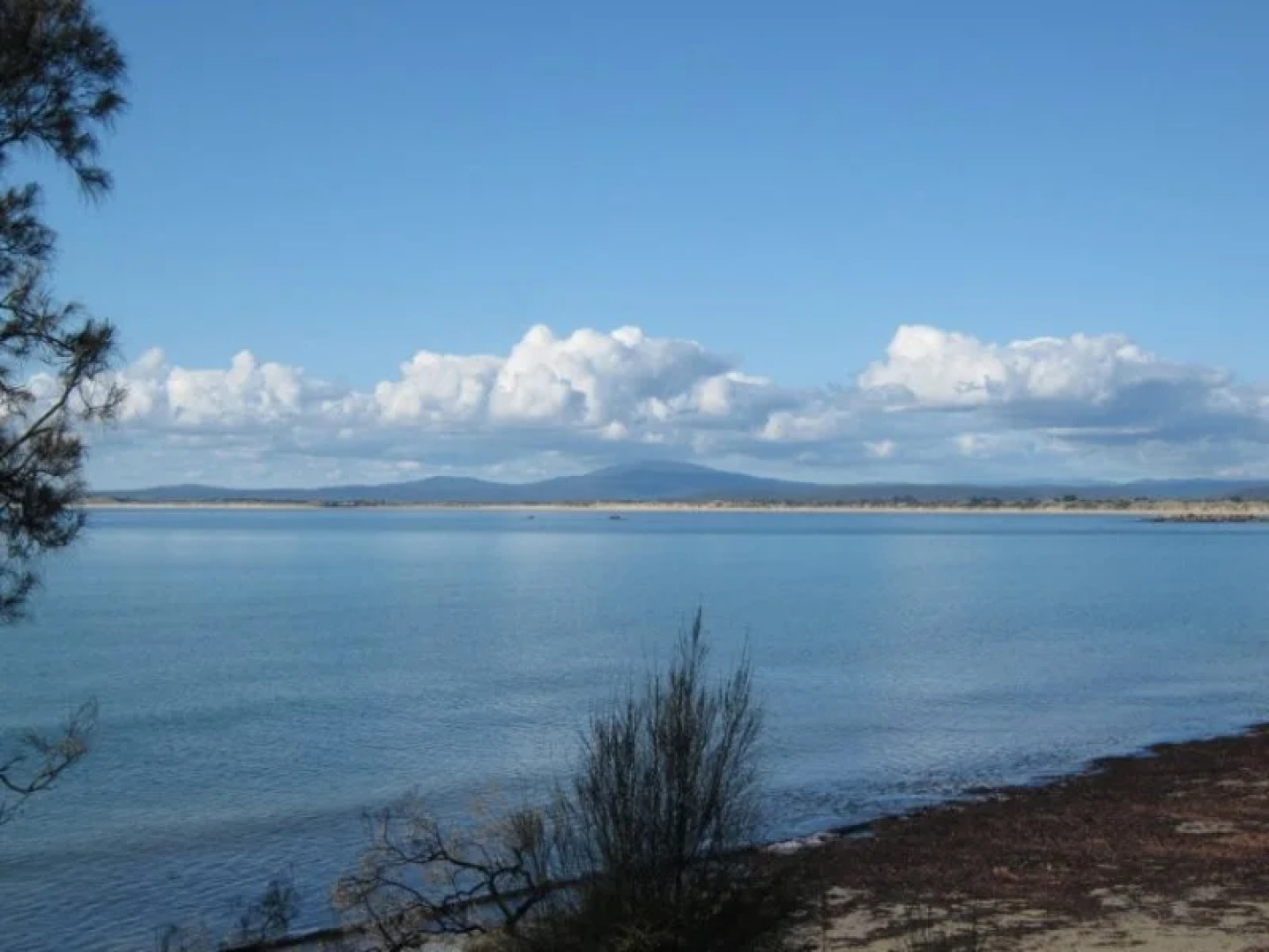 116 Westwood - Bridport Accommodation